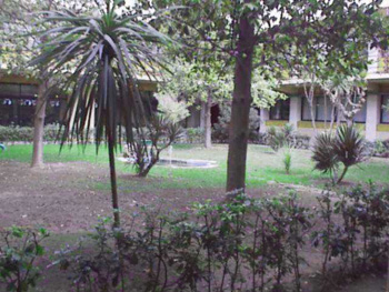 Jardín interior